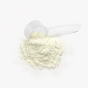 Colostrum Bovin en Poudre